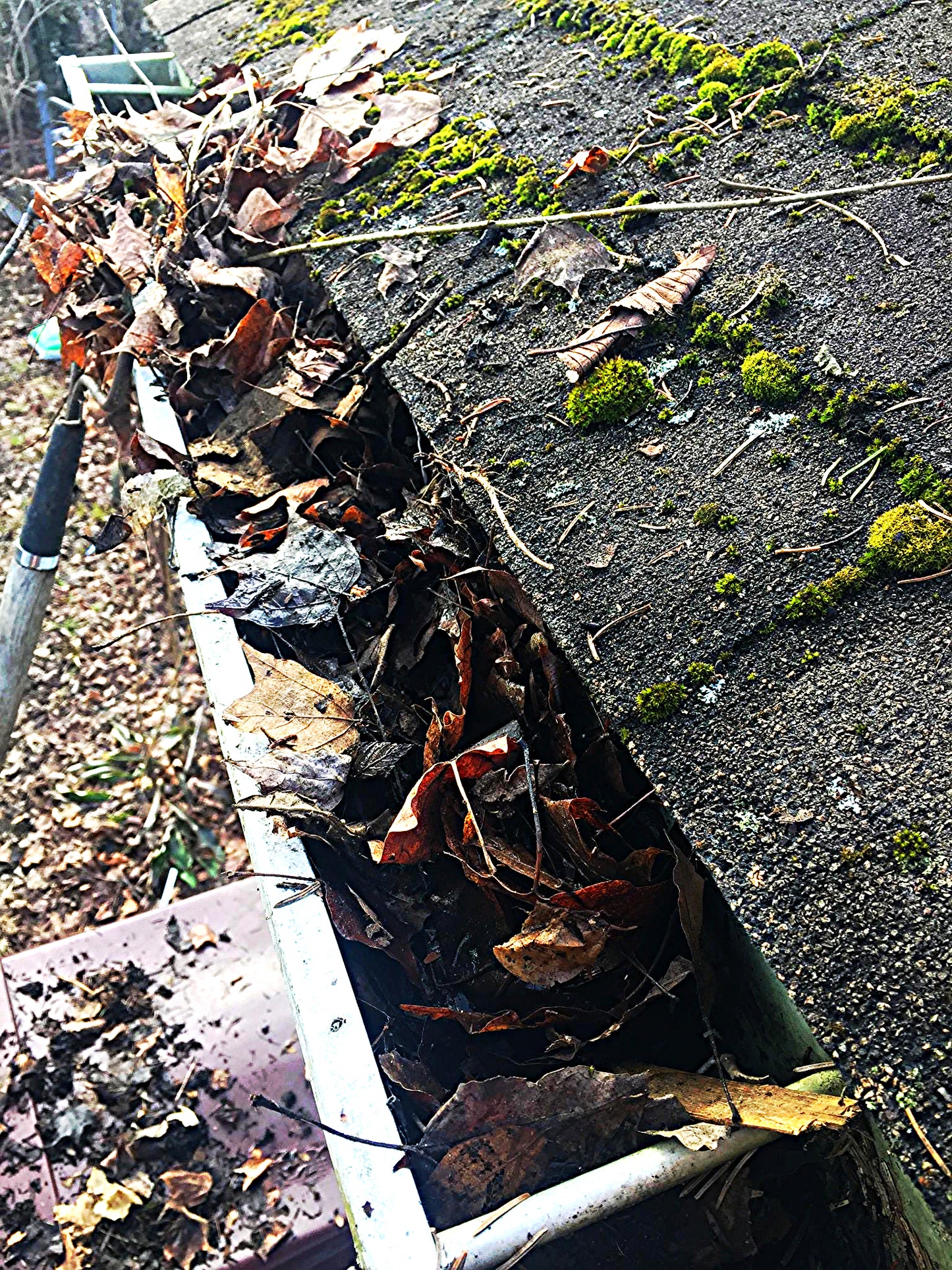 AQUATEC DDP550 HIGH FLOW DELIVERY PUMP with 4FEET FREE SHIPPING