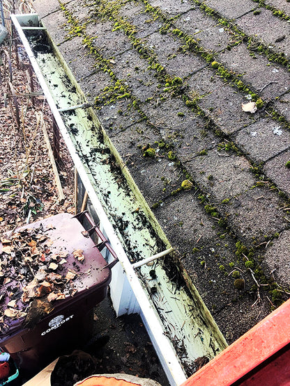 AQUATEC DDP550 HIGH FLOW DELIVERY PUMP with 4FEET FREE SHIPPING