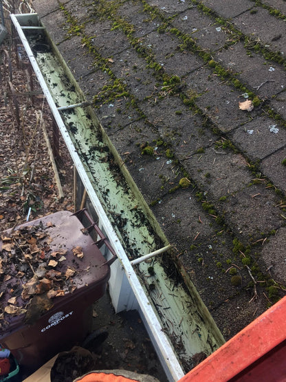 AQUATEC DDP550 HIGH FLOW DELIVERY PUMP with 4FEET FREE SHIPPING