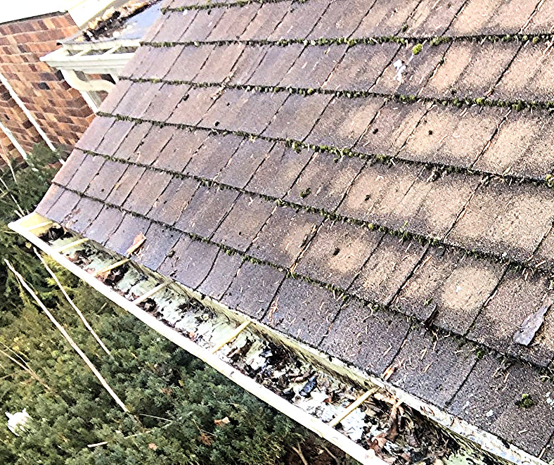 AQUATEC DDP550 HIGH FLOW DELIVERY PUMP with 4FEET FREE SHIPPING