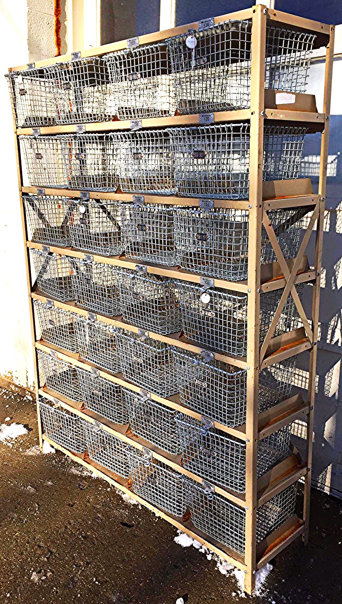 GYMNASIUM LOCKER BASKET UNIT BY MEDART CIRCA 1965 CART 67.5H x 52W RACK FREESHIP