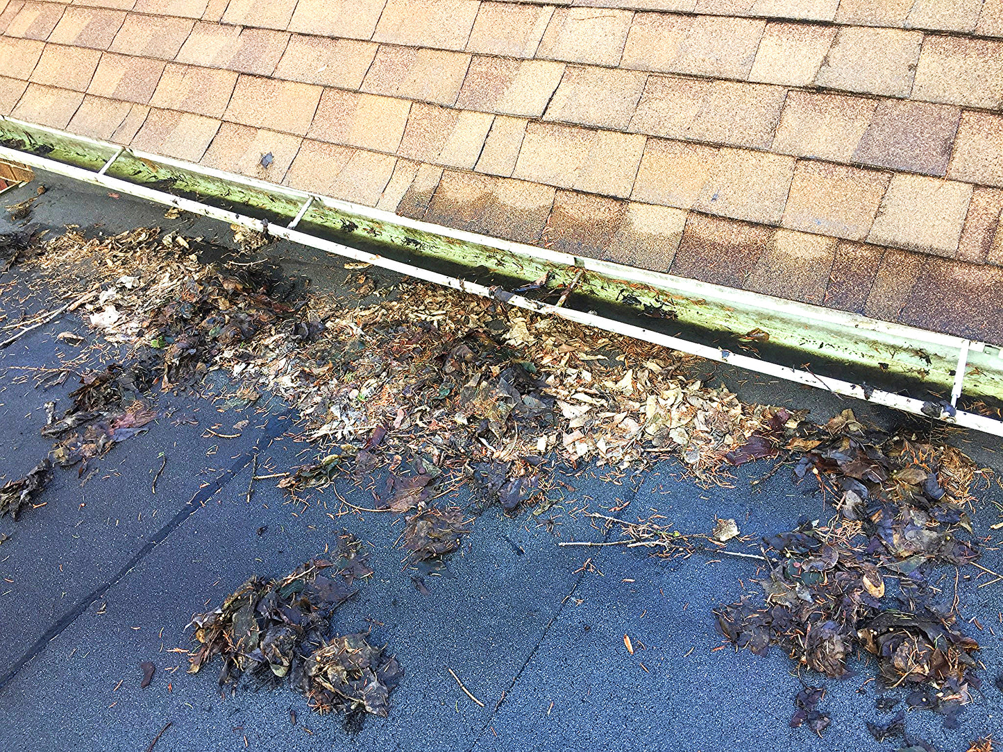 AQUATEC DDP550 HIGH FLOW DELIVERY PUMP with 4FEET FREE SHIPPING