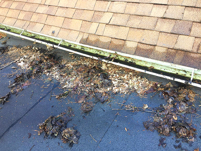 AQUATEC DDP550 HIGH FLOW DELIVERY PUMP with 4FEET FREE SHIPPING