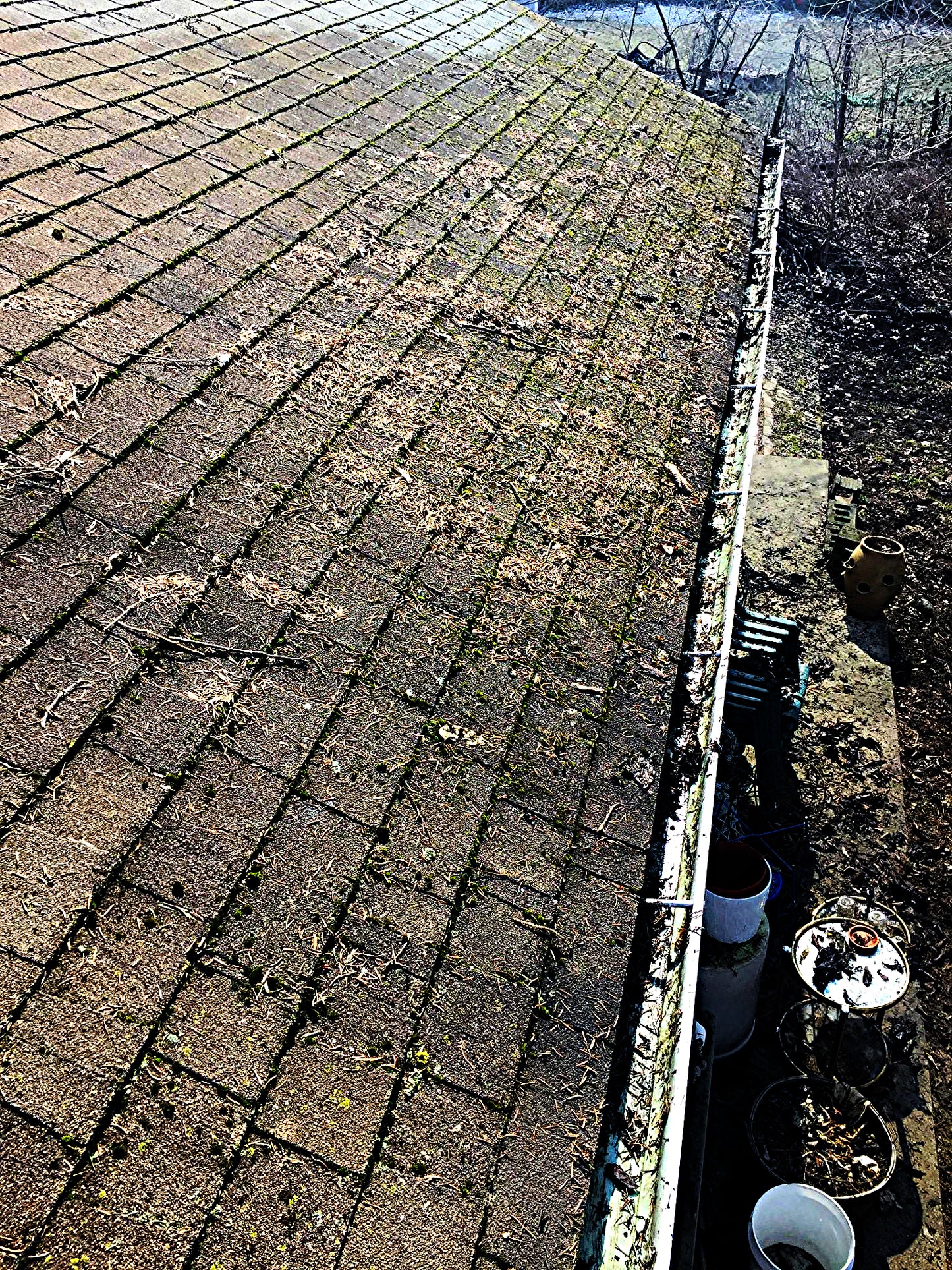 AQUATEC DDP550 HIGH FLOW DELIVERY PUMP with 4FEET FREE SHIPPING