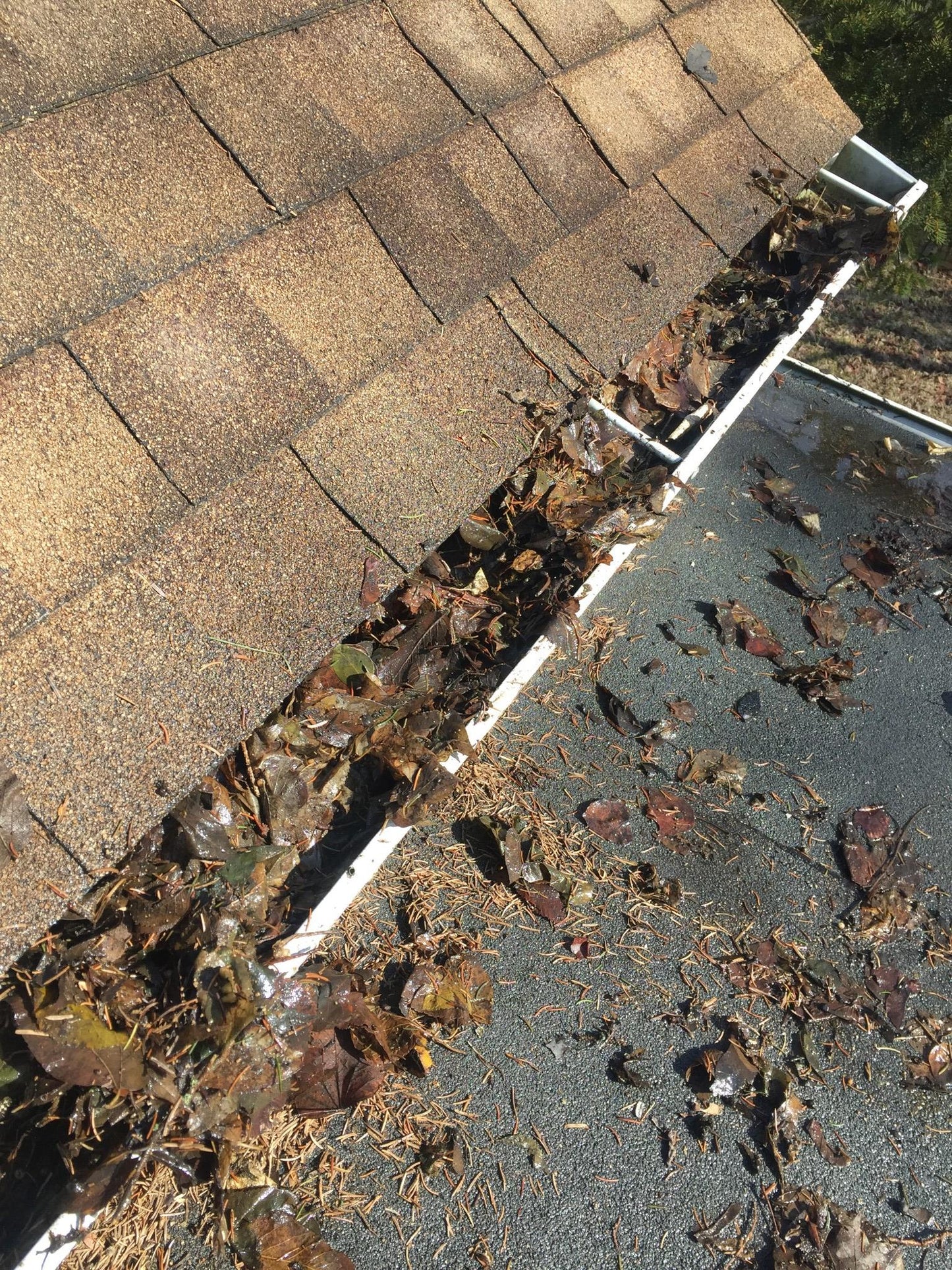 AQUATEC DDP550 HIGH FLOW DELIVERY PUMP with 4FEET FREE SHIPPING