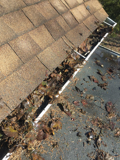 AQUATEC DDP550 HIGH FLOW DELIVERY PUMP with 4FEET FREE SHIPPING