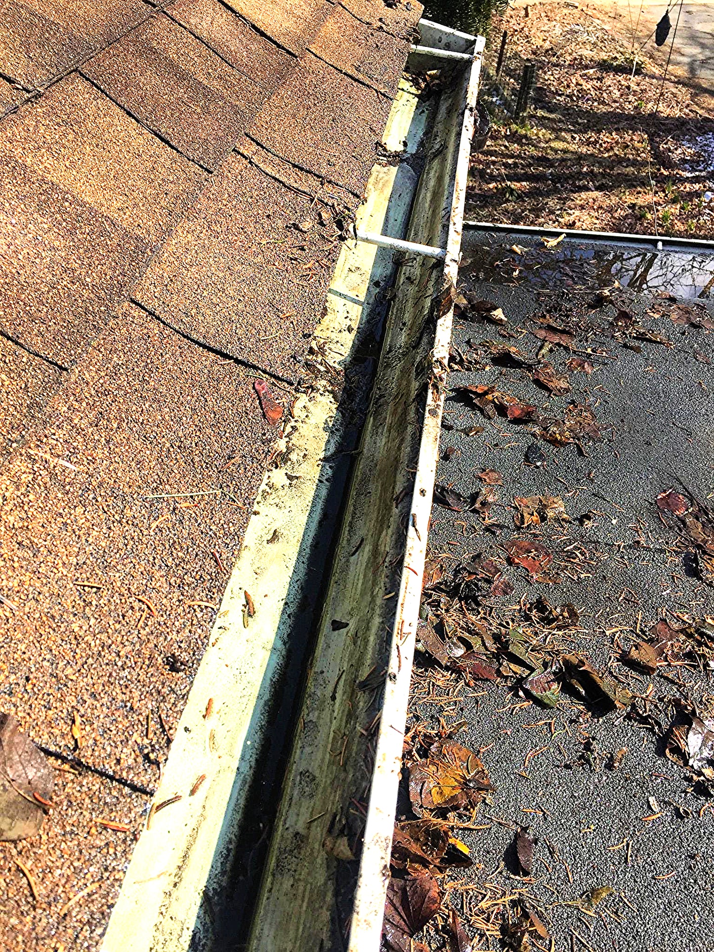 AQUATEC DDP550 HIGH FLOW DELIVERY PUMP with 4FEET FREE SHIPPING