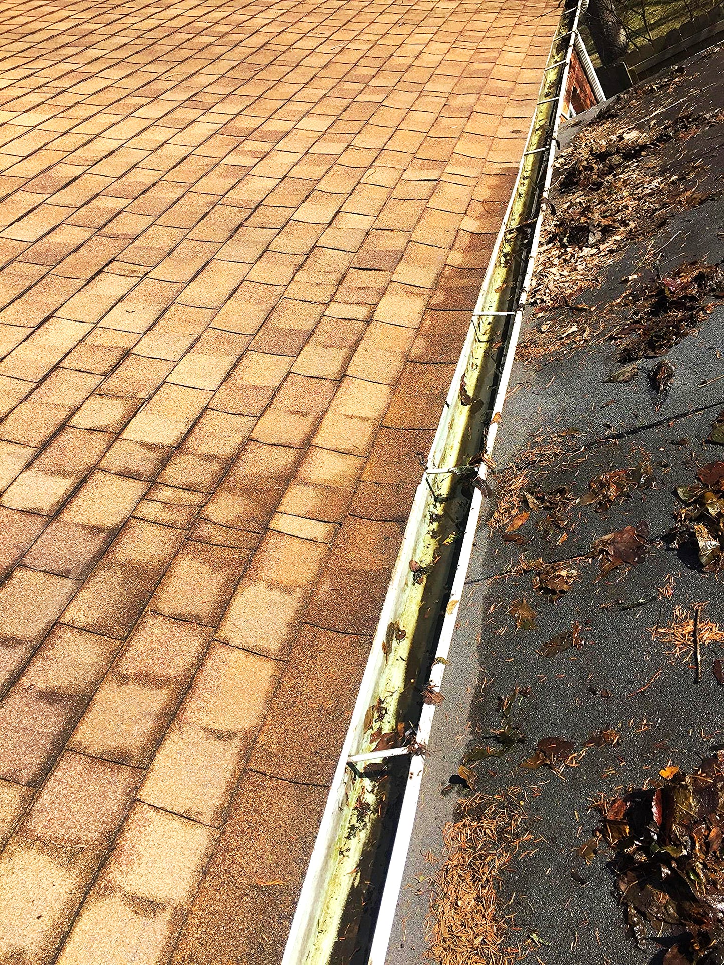 AQUATEC DDP550 HIGH FLOW DELIVERY PUMP with 4FEET FREE SHIPPING