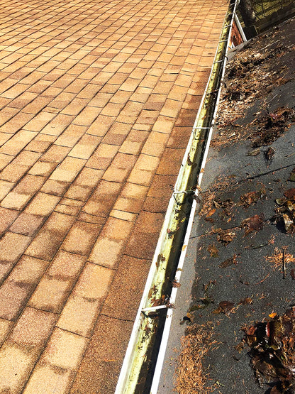 AQUATEC DDP550 HIGH FLOW DELIVERY PUMP with 4FEET FREE SHIPPING