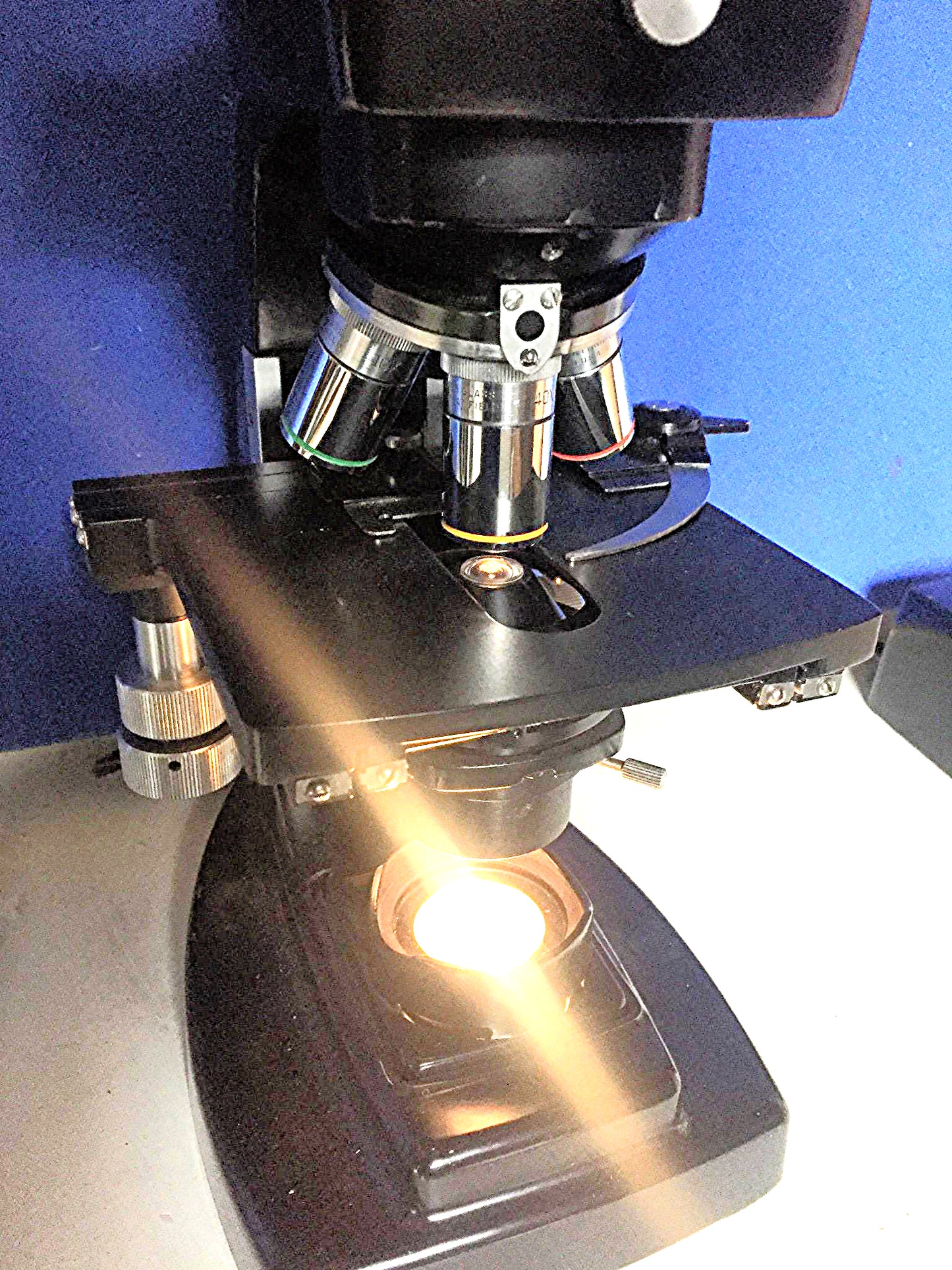 BAUSCH & LOMB MICROSCOPE FREE SHIP