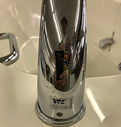 Home Living Solutions DIGNITY SOAKING WALK IN TUB HYDRO BATH BATHTUB FREE SHIP