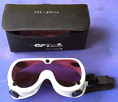 GPT GLENDALE DALLOZ SAFETY CE D 755 855 L3 GPT GOGGLES