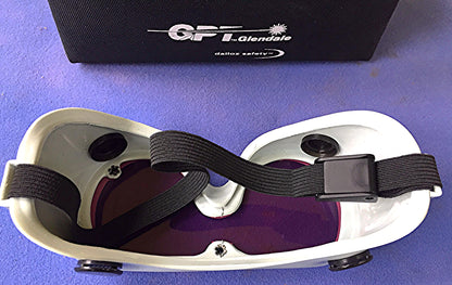 GPT GLENDALE DALLOZ SAFETY CE D 755 855 L3 GPT GOGGLES