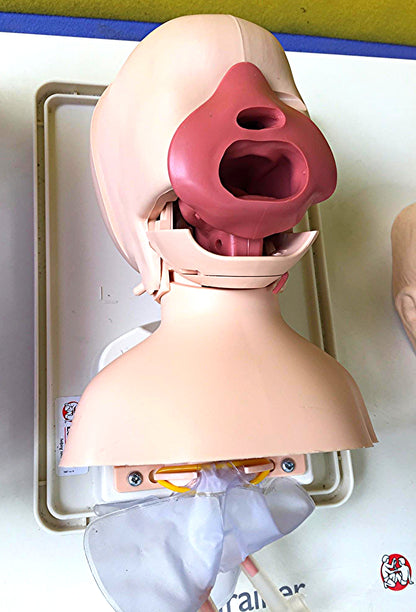 EXCELLENT LAERDAL MANIKIN Airway Management Trainer with Tray & Cover FREE SHIP