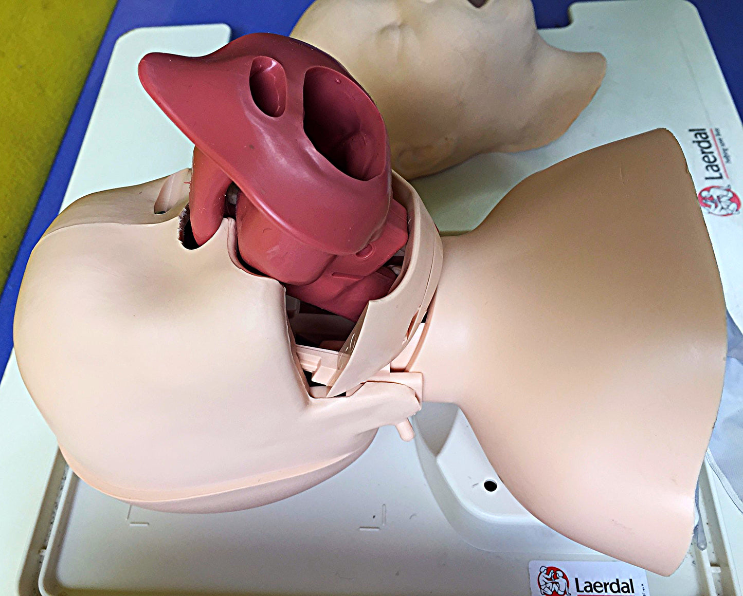 EXCELLENT LAERDAL MANIKIN Airway Management Trainer with Tray & Cover FREE SHIP