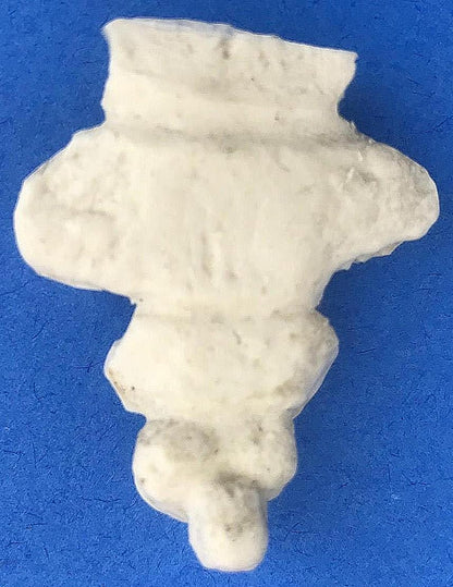 LOT of Medical Plastics Lumbar Vertebrae Spine Spinal Column Hand Feet FREE SHIP