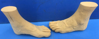 LOT of Medical Plastics Lumbar Vertebrae Spine Spinal Column Hand Feet FREE SHIP