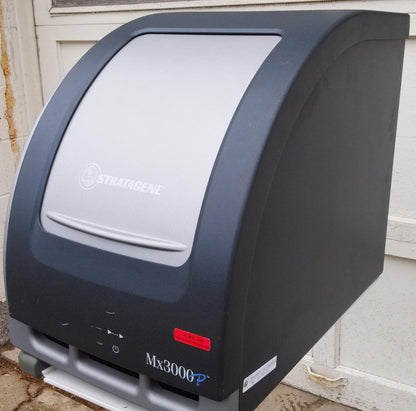 STRATAGENE Mx3000P qPCR System