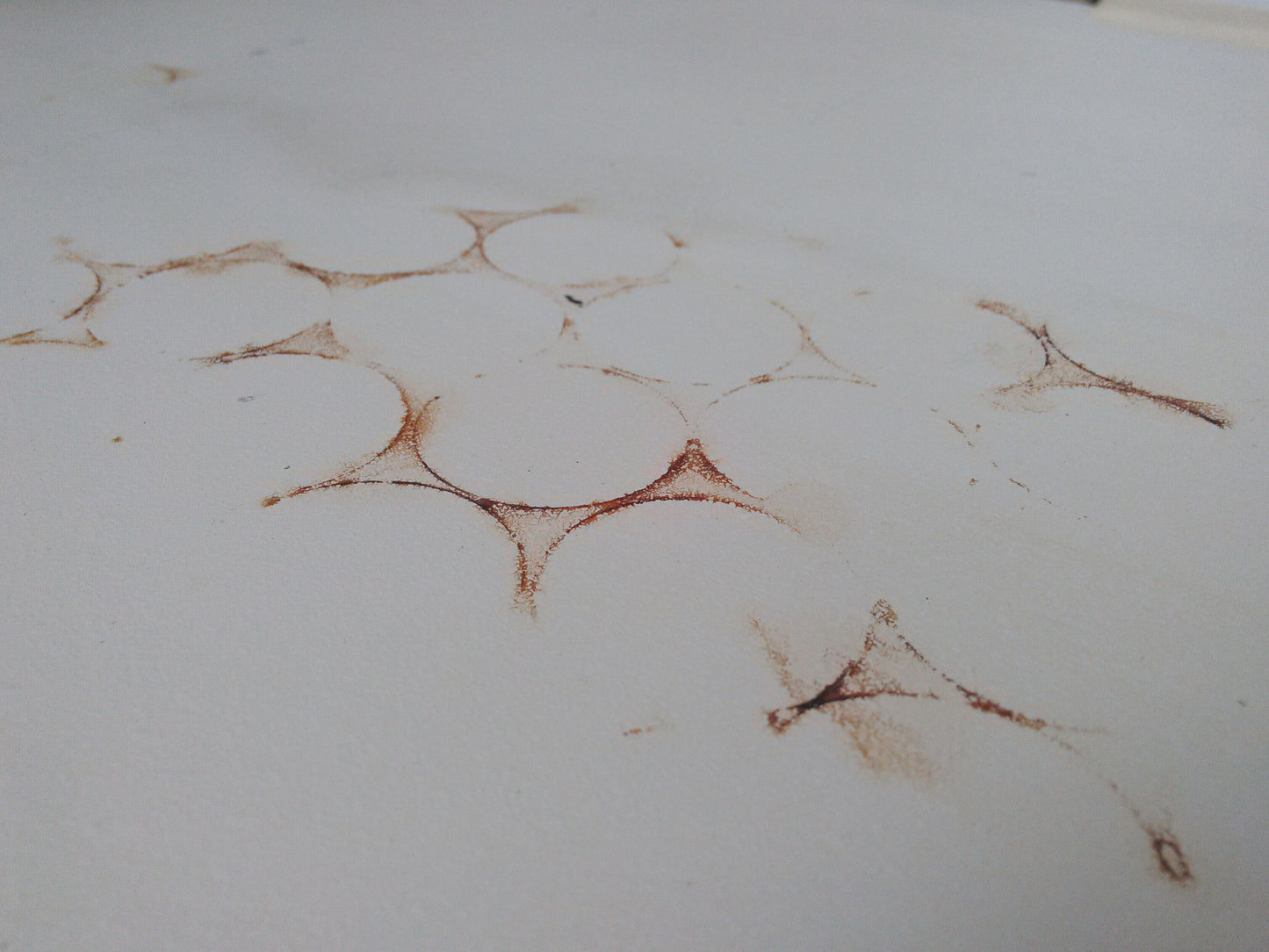 BECKMAN FLOOR REFRIGERATED CENTRIFUGE J2-21 with Rotor PERFECT 3MONTH WARANTY