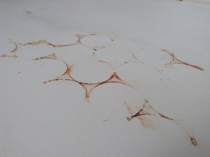 BECKMAN FLOOR REFRIGERATED CENTRIFUGE J2-21 with Rotor PERFECT 3MONTH WARANTY