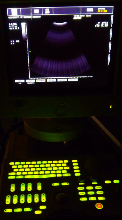 PICUS CRII ESAOTE PIE MED 410670 ULTRASOUND C5-2 R40 & LA523 PROBE SONY UP-895MD