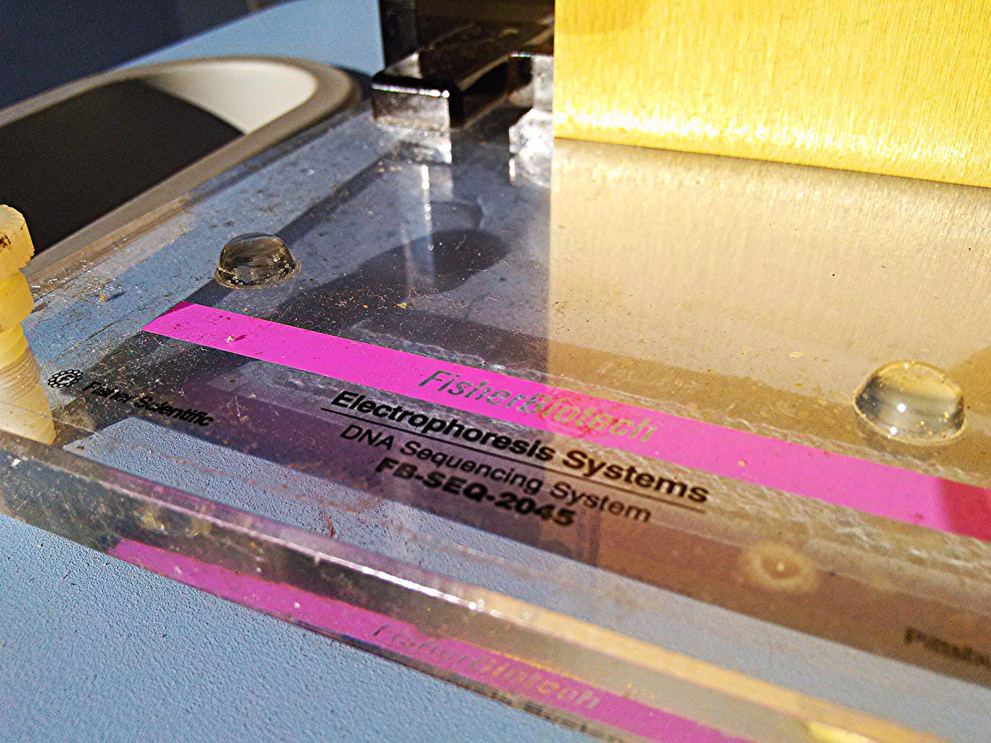 FISHER BIOTECH ELECTROPHORESIS SYSTEMS FB-SEQ-2045 Gel FREE SHIPPING