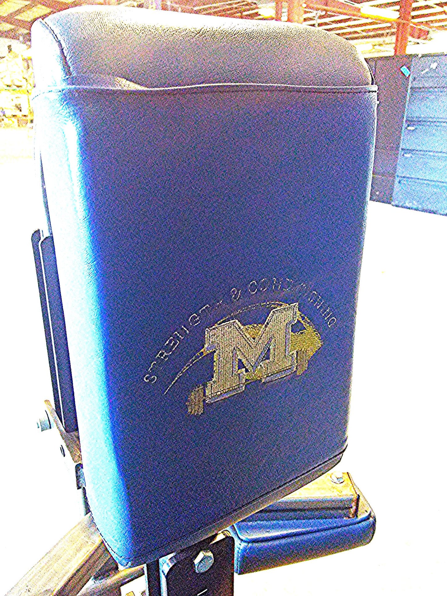 HAMMER STRENGTH Plate-Loaded Iso-Lateral High Row WONDERFUL CONDITION