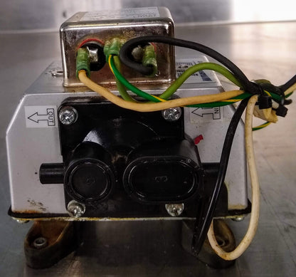 IBEX GAST DDL8BS-101 OIL LESS PUMP FREE SHIPPING