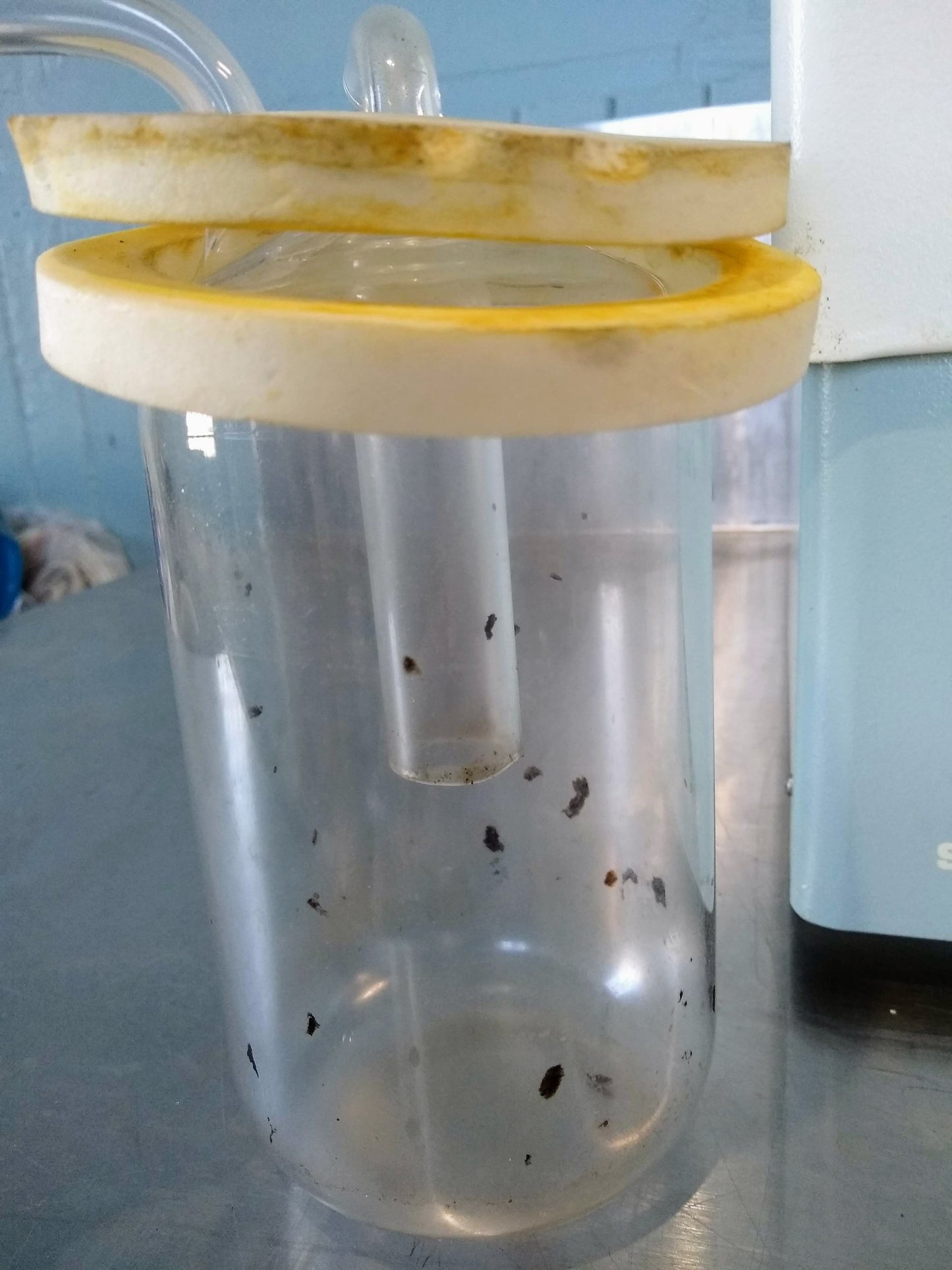 SAVANT INSTRUMENTS REFRIGERATED CONDENSATION RT 100A TRAP FREE SHIPPING