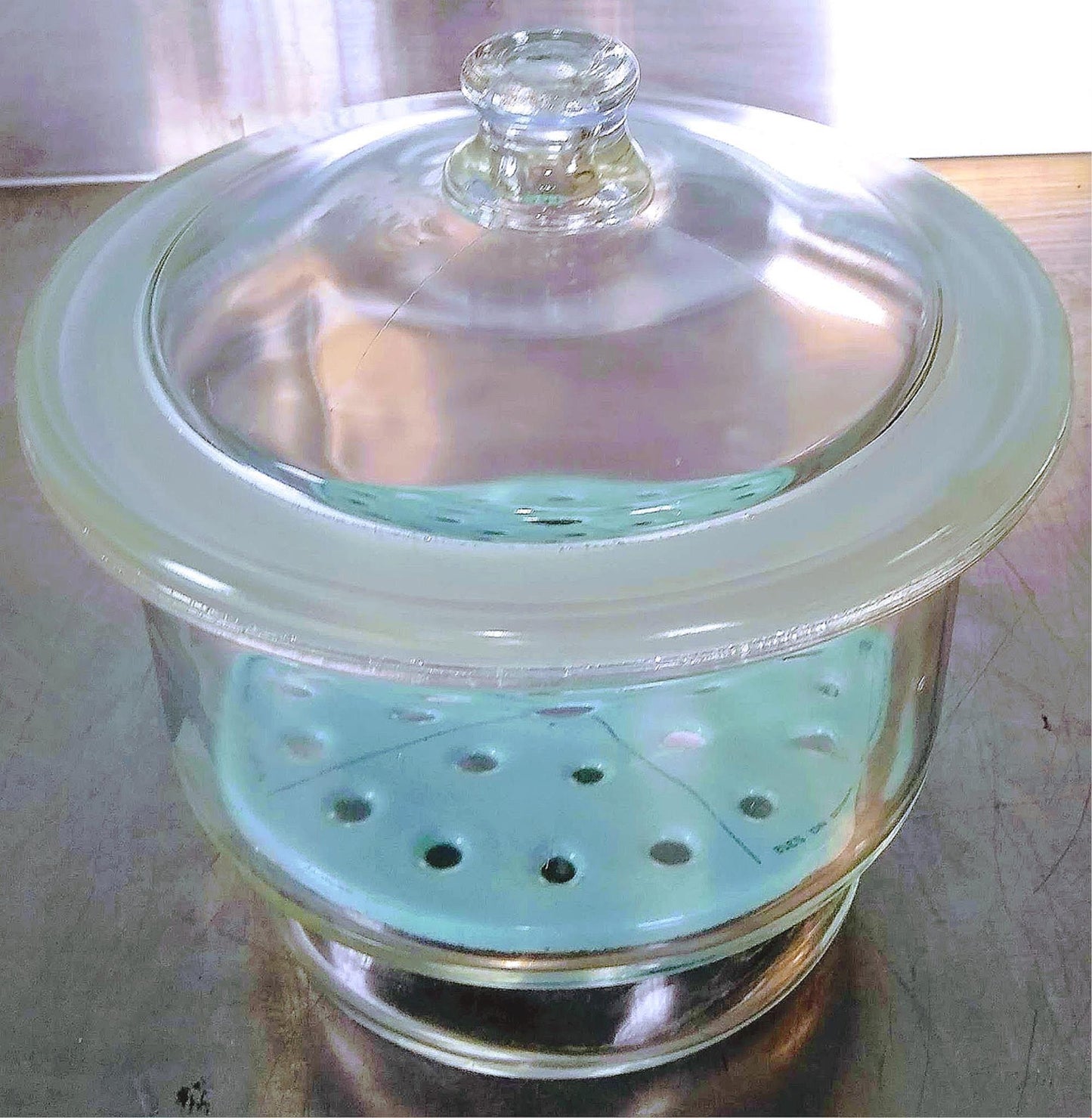 PYREX 55/38 LAB BOROSILICATE GLASS LID 7.5L DESSICATOR & NUCERITE PLATE FREESHIP