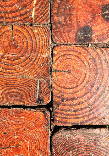 1 Lot Early 1900s VINTAGE ART NOUVEAU INDUSTRIAL URBAN MODERN OLD PINE WOOD TILE