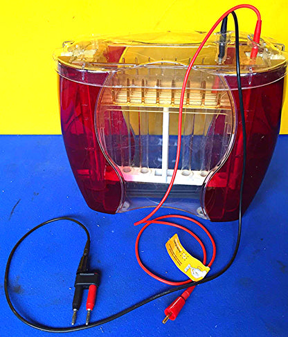AMERSHAM HOEFER SE 600 RUBY VERTICAL Dual Cooled ELECTROPHORESIS GEL FREE SHIP