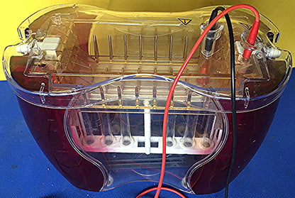 AMERSHAM HOEFER SE 600 RUBY VERTICAL Dual Cooled ELECTROPHORESIS GEL FREE SHIP