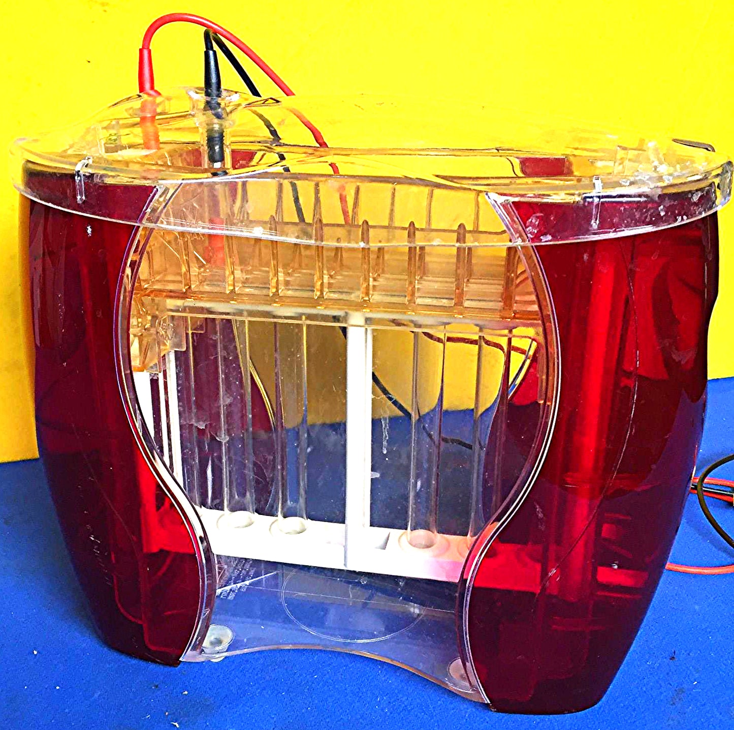 AMERSHAM HOEFER SE 600 RUBY VERTICAL Dual Cooled ELECTROPHORESIS GEL FREE SHIP