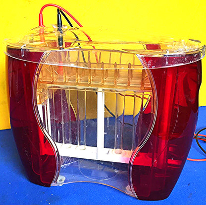 AMERSHAM HOEFER SE 600 RUBY VERTICAL Dual Cooled ELECTROPHORESIS GEL FREE SHIP