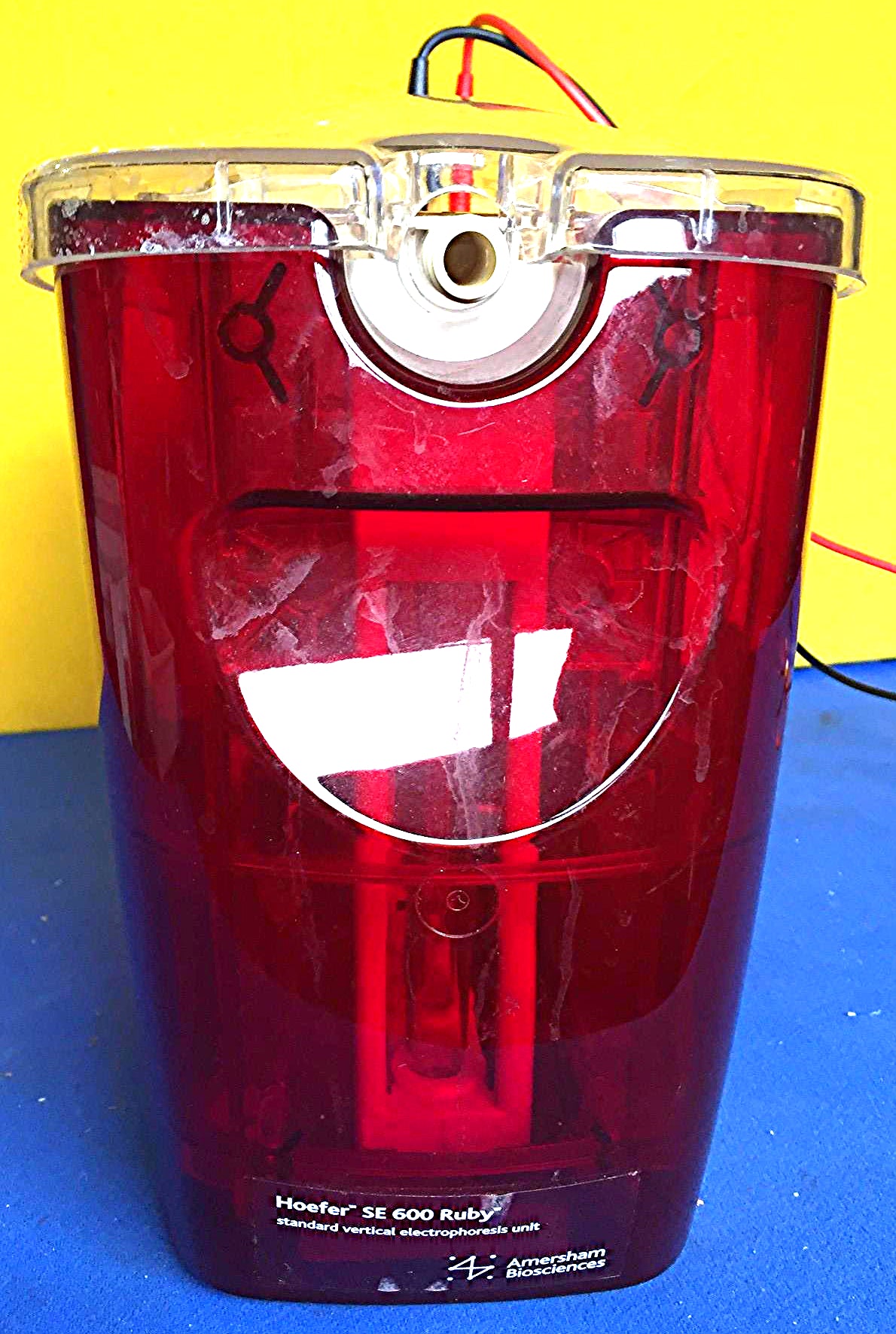 AMERSHAM HOEFER SE 600 RUBY VERTICAL Dual Cooled ELECTROPHORESIS GEL FREE SHIP