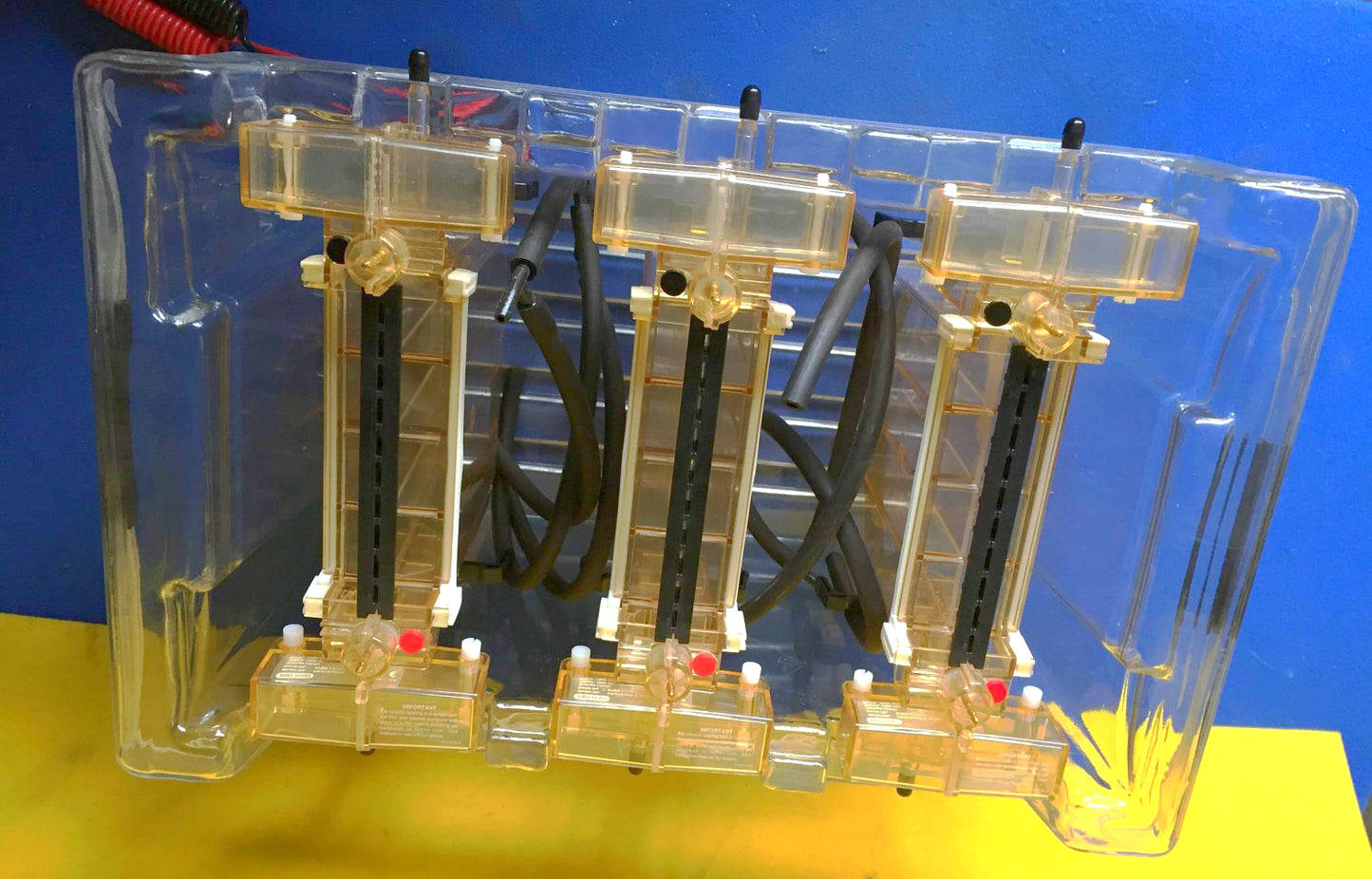 LARGE PERFECT CONDITION BIO-RAD PROTEAN II xi CELL ELECTROPHORESIS GEL FREE SHIP