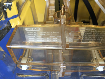 LARGE PERFECT CONDITION BIO-RAD PROTEAN II xi CELL ELECTROPHORESIS GEL FREE SHIP