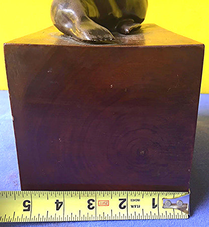 MARY TODD SHAW 1948 HARBOR SEAL BRONZE SCULPTURE ART WORLDFAMOUS ARTIST FREESHIP