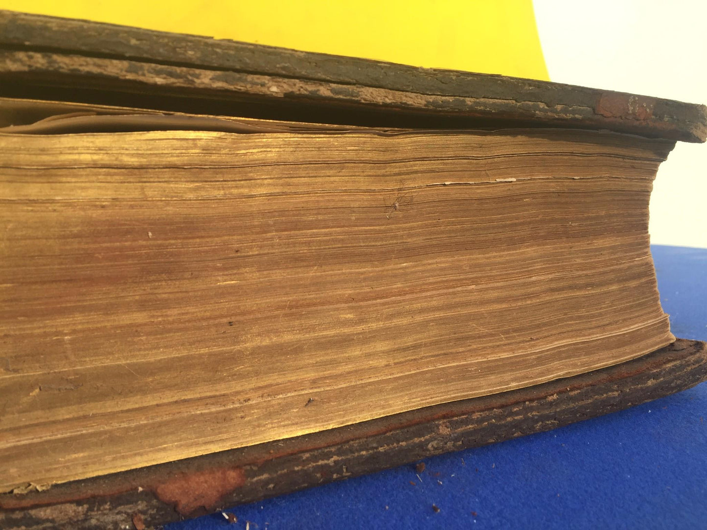 Antique GERMAN FAMILY BIBLE 1800's illustrated HEILIGE SCHRIFT BIBEL FREESHIP