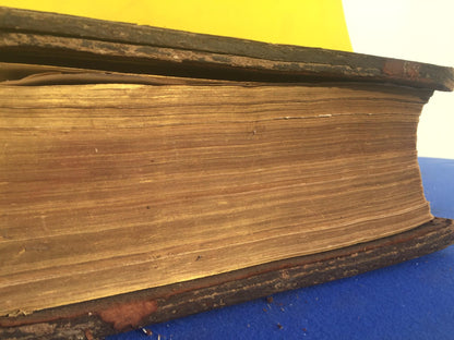 Antique GERMAN FAMILY BIBLE 1800's illustrated HEILIGE SCHRIFT BIBEL FREESHIP