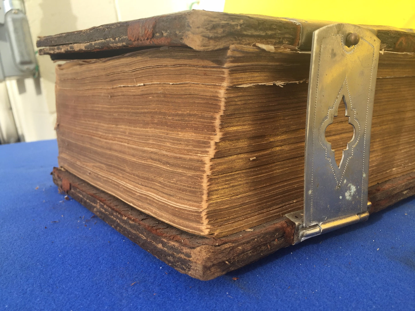 Antique GERMAN FAMILY BIBLE 1800's illustrated HEILIGE SCHRIFT BIBEL FREESHIP