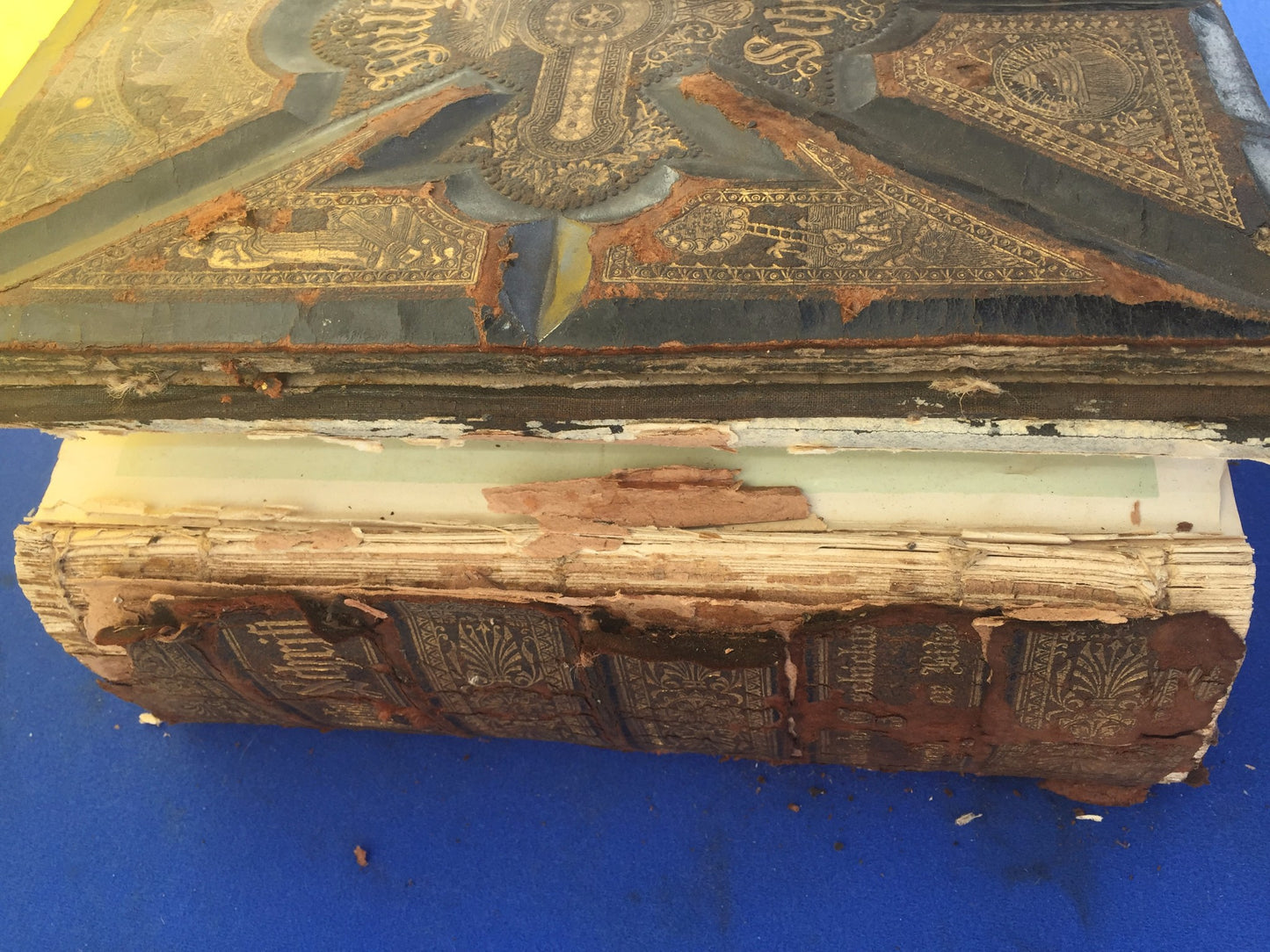 Antique GERMAN FAMILY BIBLE 1800's illustrated HEILIGE SCHRIFT BIBEL FREESHIP