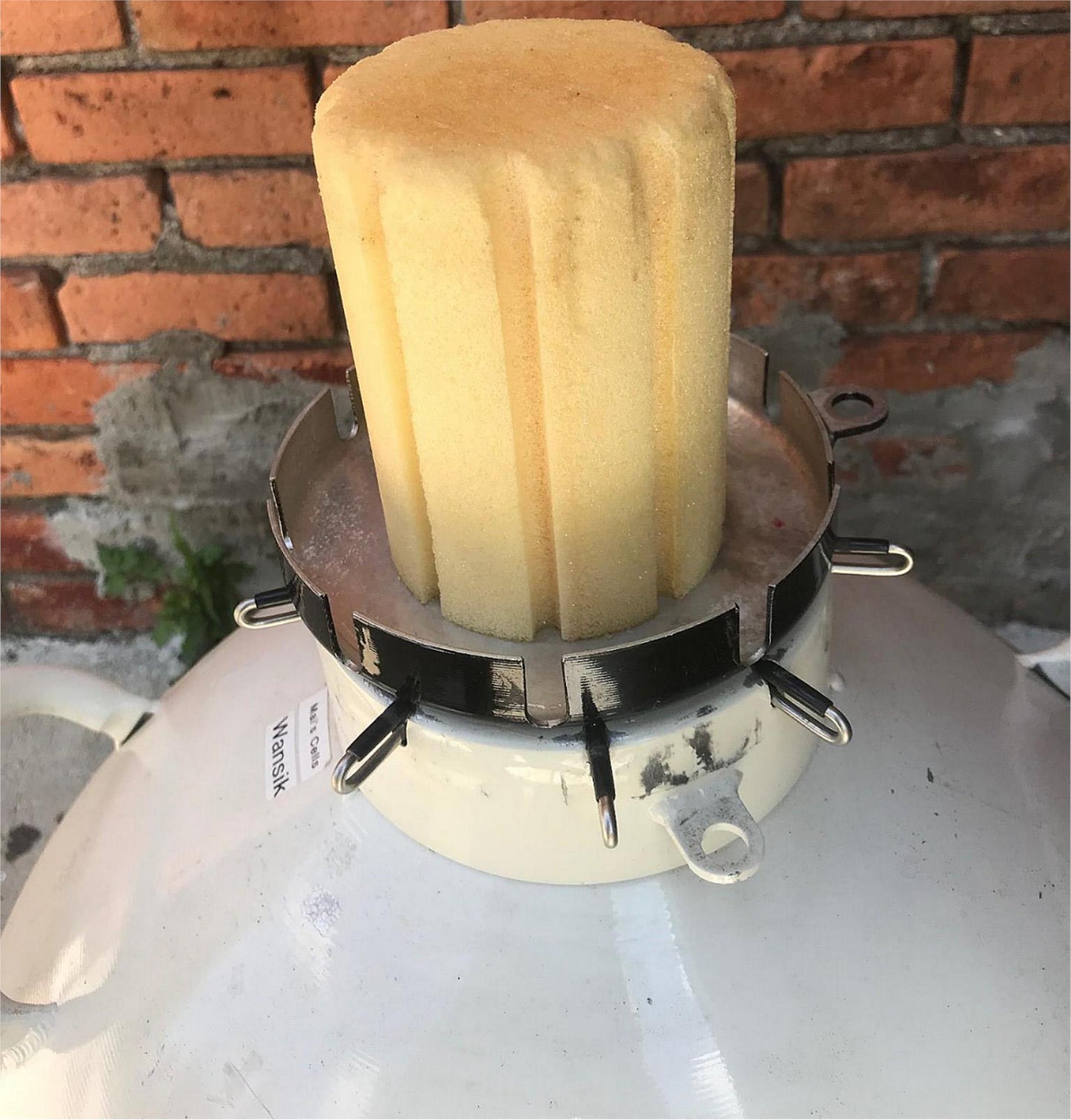 CRYOSAFE SSC32 CRYOGENIC TANK 9 WAND CANE STRAW CANISTER SAMPLE STORAGE FREESHIP