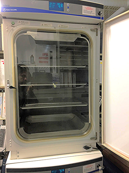 FISHER SCIENTIC ISOTEMP CO2 DOUBLE INCUBATOR 100%GUARANTEED WATCH VIDEO FREESHIP