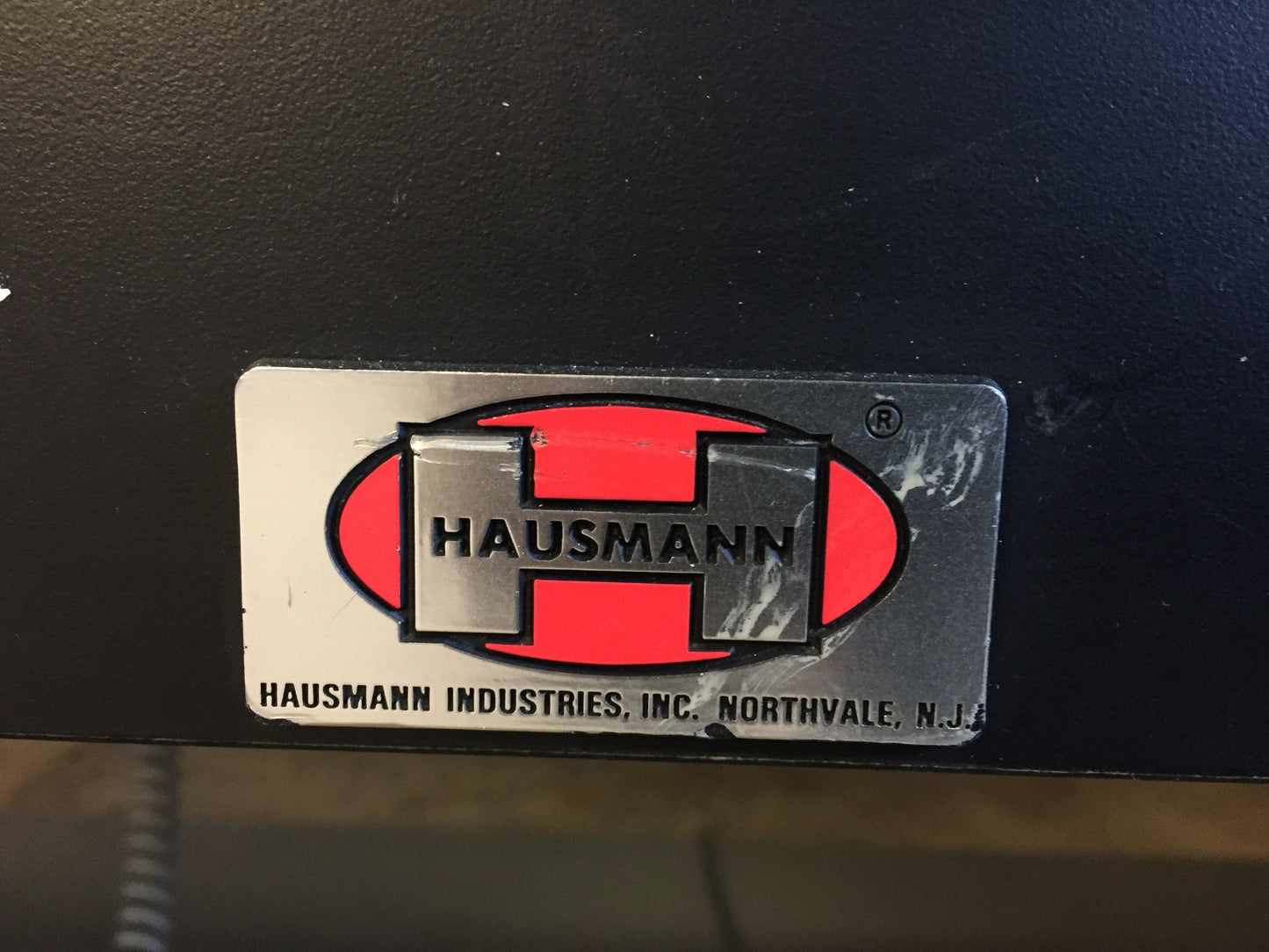 HAUSMANN 4795 HI LO POWER BARIATRIC TABLE BACK-REST REMOTE WATCH VIDEO FREE SHIP