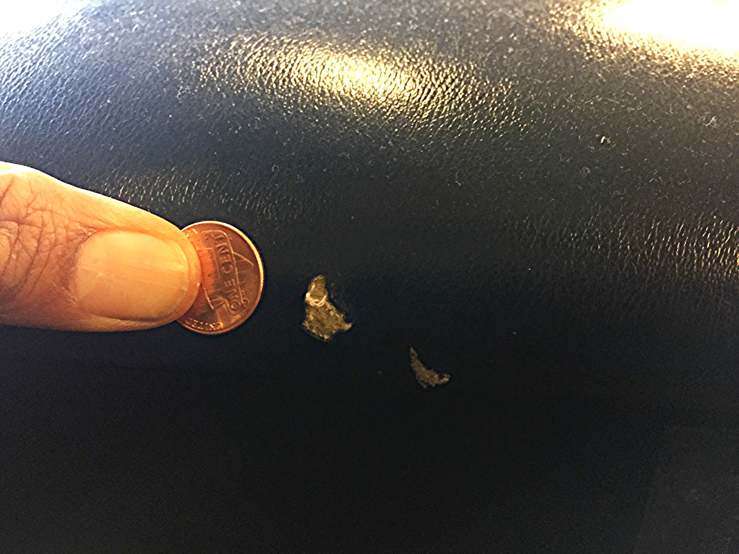 HAUSMANN 4795 HI LO POWER BARIATRIC TABLE BACK-REST REMOTE WATCH VIDEO FREE SHIP