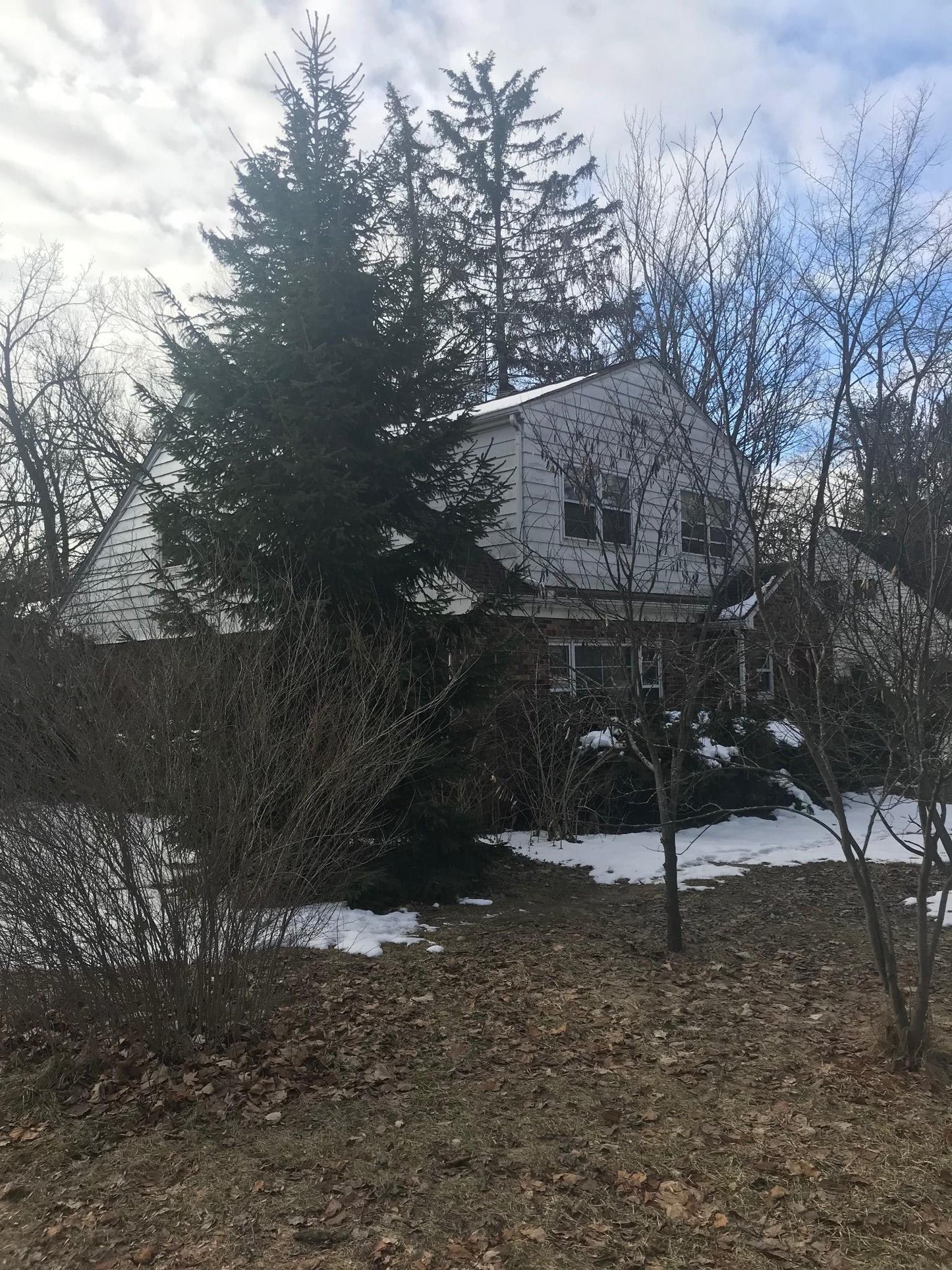 BALDWIN STREET LISTING