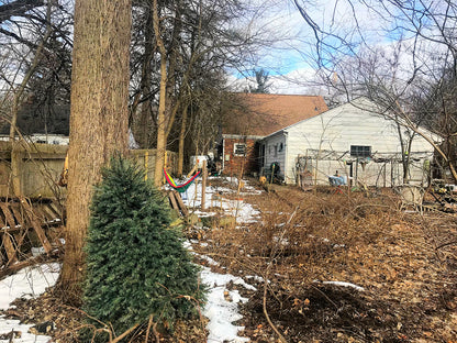 BALDWIN STREET LISTING