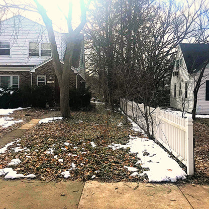 BALDWIN STREET LISTING